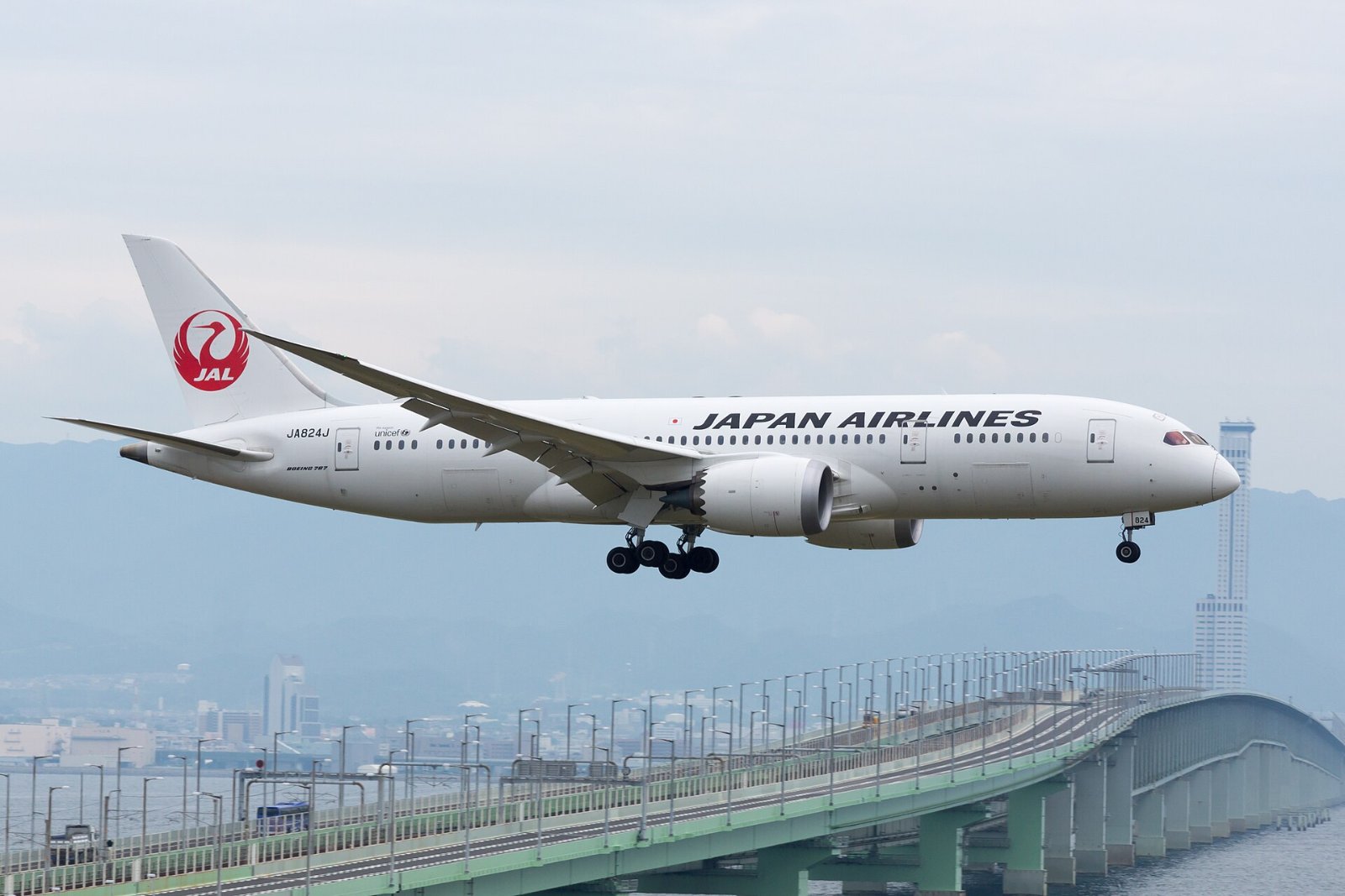 この機種（JALの787-8）の外観